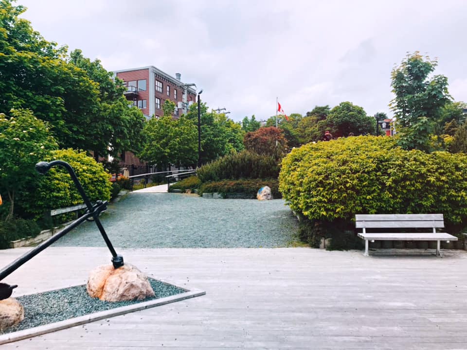 A photo of a section of the wharf at Harbourside Park with a bench in the background and lots of shrubbery.