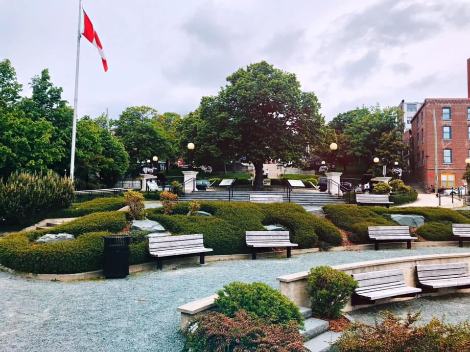 A photo taken from the wharf of Harbourside Park looking back up at the park. There are rows of benches with gravel paths and shrubberies. 
