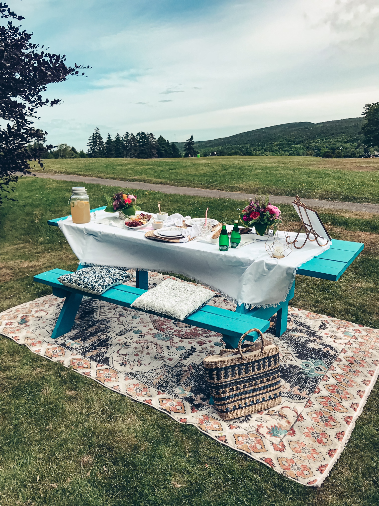A photo of the picnic setup. A bright blue accessible picnic table sits onto of a colourful rug. There are cushions on the bench and the table is topped with a white tablecloth, a table runner, fancy dinnerware, flowers and food and drinks. In the background is a green field and cloudy sky.