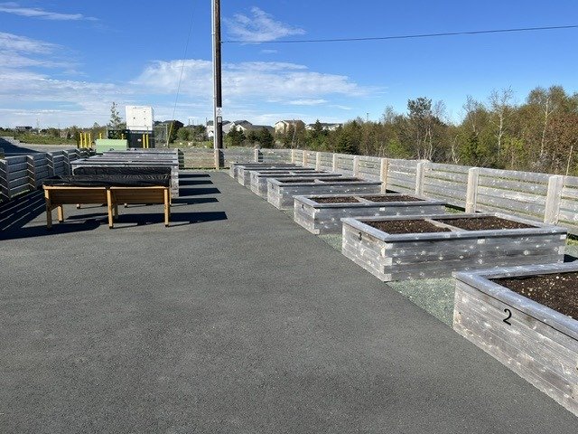 A paved community garden with raised garden beds in two rows. 